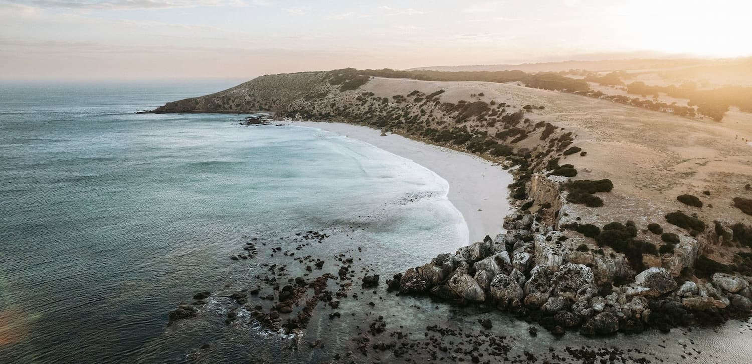 Planning a holiday on Kangaroo Island [updated 2025] - Kangaroo Island Olives