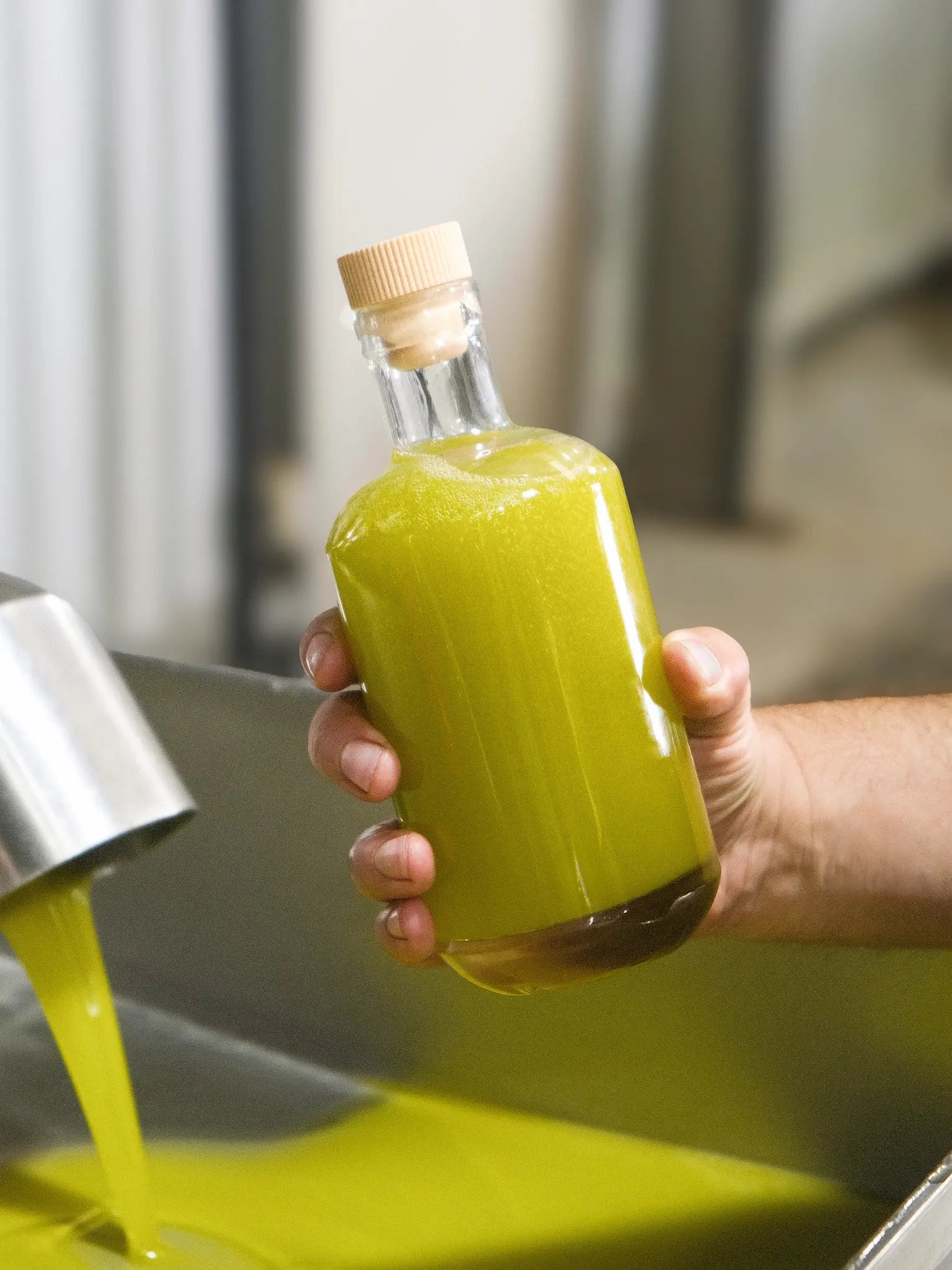 2026 First - Harvest Novello - Kangaroo Island Olives