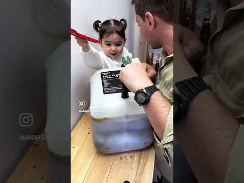 Extra Virgin Olive Oil (20L)